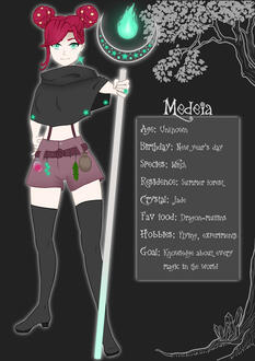 Character sheet from a Visual Novel project